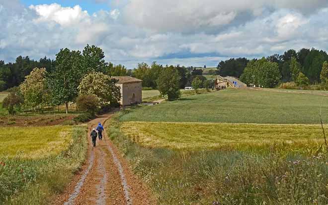 Spanje | Pelgrimsroute Camino Francés | 8 dagen