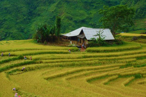 Vietnam | Muong Hoa Vallei Muong Bo Vallei Trek | 4 dagen