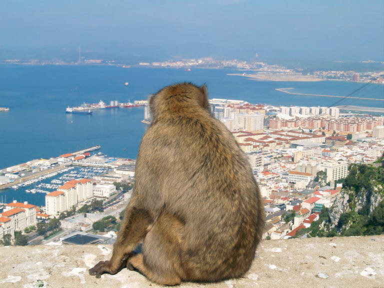 Spanje | Rondreis | Tussen Gibraltar en Granada | 8 dagen