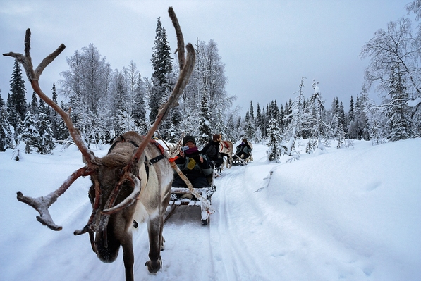 Finland | Lapland | Rondreizen | 7 dagen
