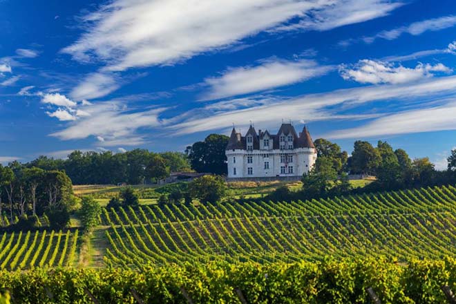 Frankrijk | Fietsvakantie langs de Dordogne | 7 of 9 dagen dagen