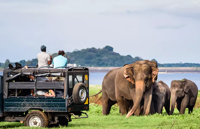 Sri Lanka | Groepsrondreis | Mooiste Natuur van Sri Lanka | 17 dagen
