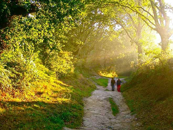 Portugal | Spanje | Pelgrimstocht Camino Portugues | 18 dagen