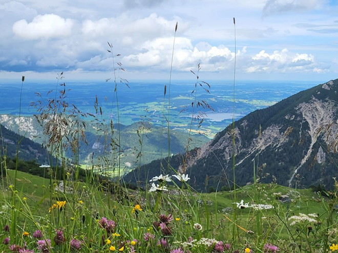 Oostenrijk | Tannheimertal | Groepswandelreis | 8 dagen