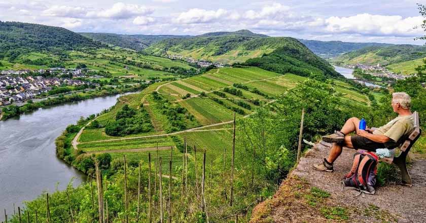 Duitsland | Moezel | Wandelen in het Moezeldal | 5 dagen
