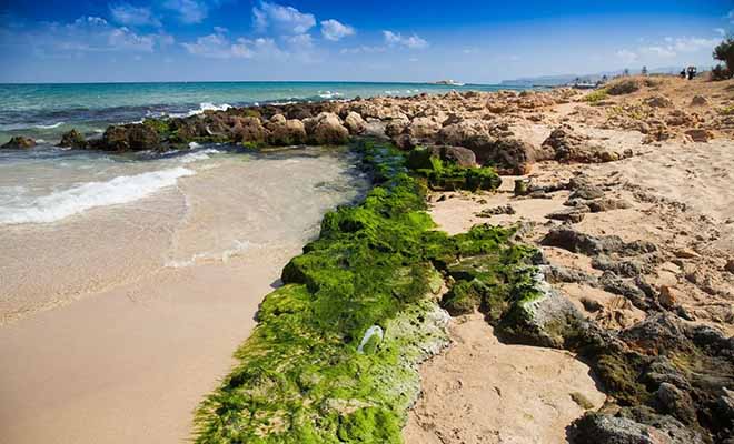 Griekenland | Kreta | Wandelvakantie Kreta | 14 dagen