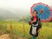 Vietnam | Avontuurlijke familiereis langs hotels | 18 dagen
