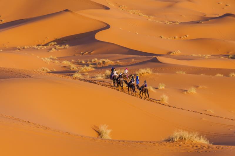 Marokko | Individuele Rondreis | Langs de rand van de woestijn | 10 dagen