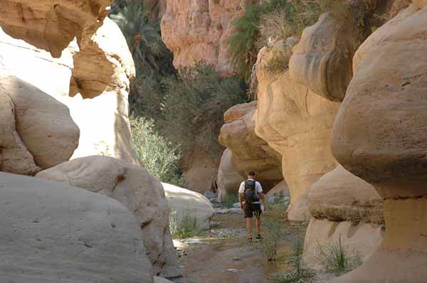 Jordanië | Wandelreis | Woestijnen en Natuurreservaten | 9 dagen