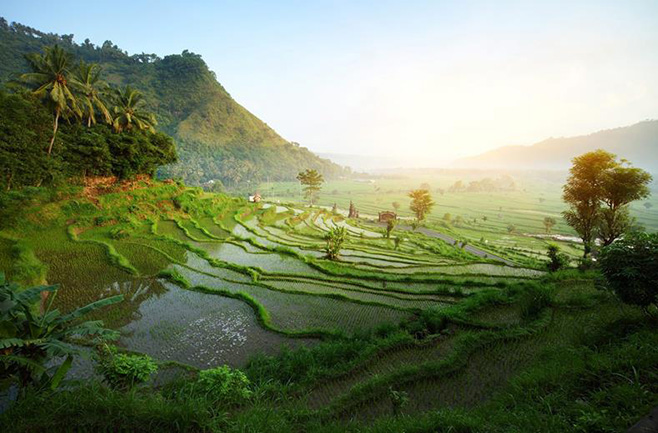 Indonesië | Rondreis Bali Compleet| 9 dagen